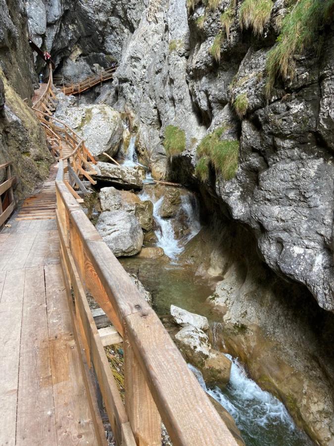 Steinerhaus Berggasthof Grobming Exteriér fotografie